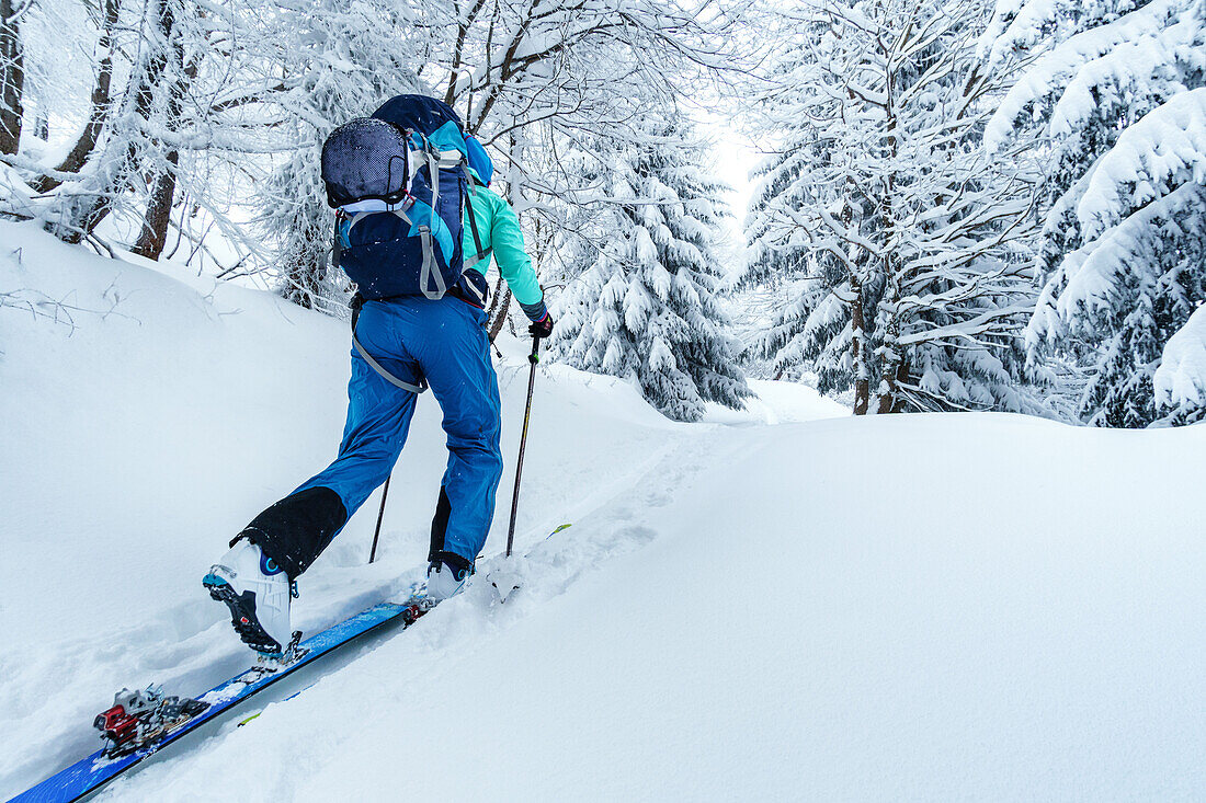 Junge Frau steigt mit Ski in einem Wald auf, Chamonix, Frankreich