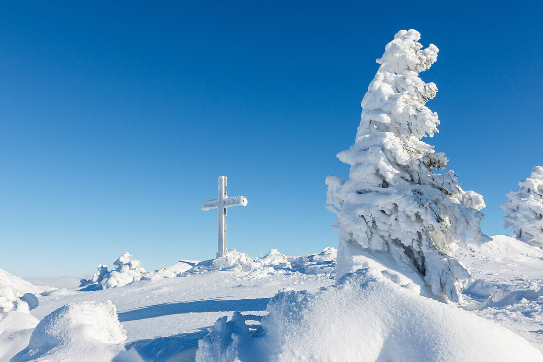 Stark verschneiter Gipfel mit Anraum an Bäumen und Gipfelkreuz, Chiemgauer Alpen, Bayern, Deutschland