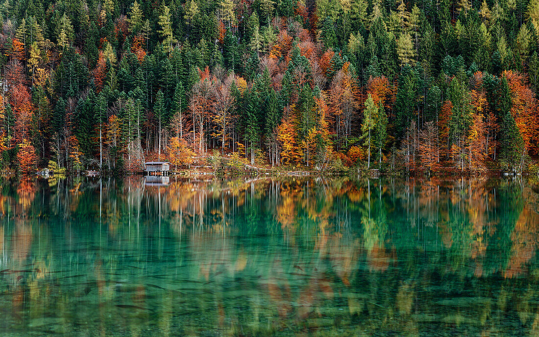 Bootshütte an einem See im Herbst, Spiegelung der Bäume im kristallklaren Wasser, Hintersteiner See, Scheffau, Tirol, Österreich