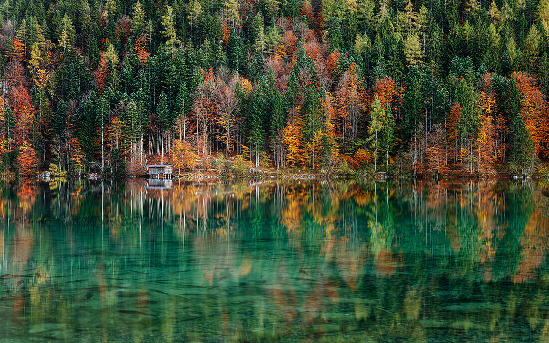 Little hut at a lake during autumn, reflection of colorful trees in the crystal-clear water, lake Hinterstein, Scheffau, Tyrol, Austria