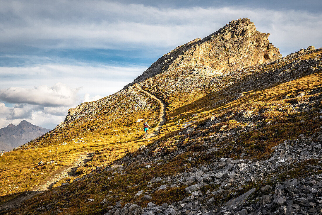 Junge Frau mit dem Mountainbike auf einem flowigen Singletrail kurz unterhalb des Gipfels bei Sonnenuntergang, Monte Scale, Stilfser Joch, Lombardei, Italien