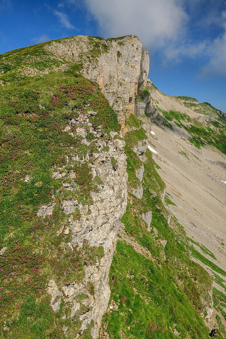 Cliff at Hoher Ifen, Hoher Ifen, Allgaeu Alps, valley of Walsertal, Vorarlberg, Austria