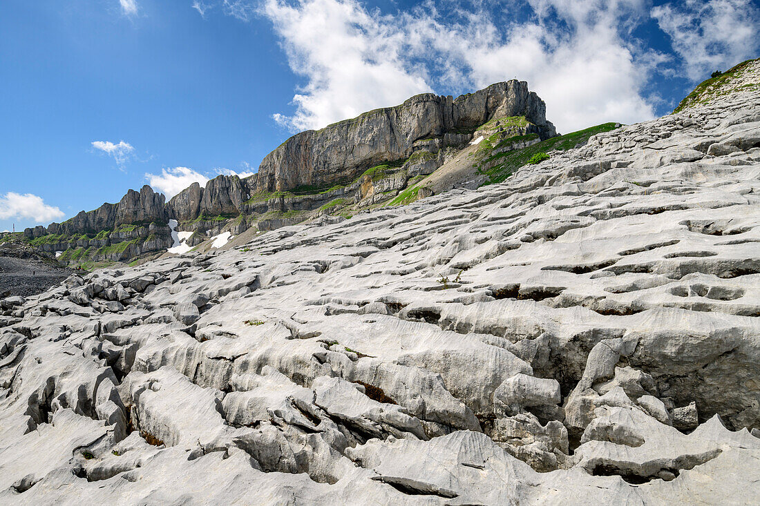 Karstplatten am Gottesackerplateau mit Hoher Ifen im Hintergrund, Allgäuer Alpen, Walsertal, Vorarlberg, Österreich