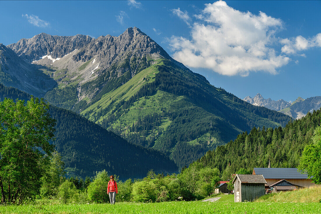 Frau wandert auf Lechweg durch Wiese, Lechtaler Alpen im Hintergrund, Martinau, Lechtal, Lechweg, Tirol, Österreich