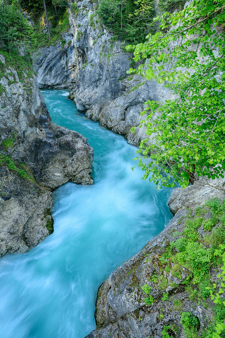 River Lech flowing through canyon, Fuessen, Lechweg, Swabia, Bavaria, Germany