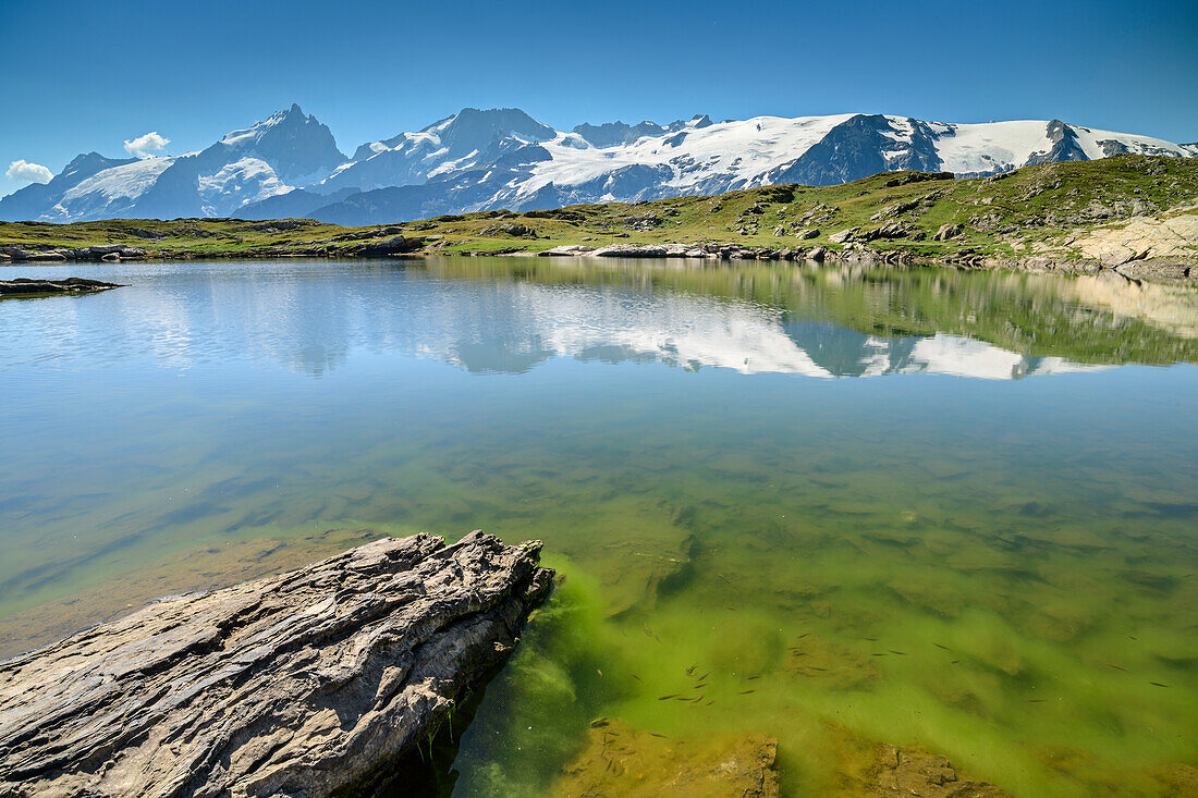 See mit Gletscherberge, Lac Noir, Plateau d' Emparis, Blick auf Ecrins, Nationalpark Ecrins, Dauphine, Dauphiné, Hautes Alpes, Frankreich