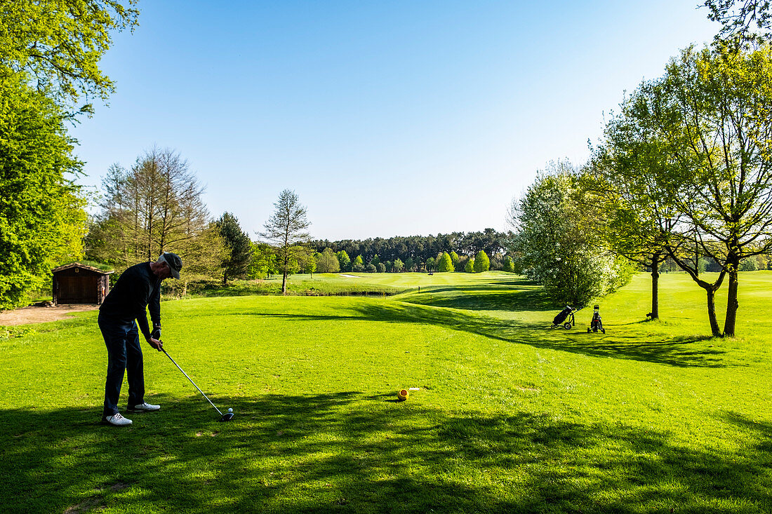 Male golfer at the golfcourse in Holm near Hamburg, North Germany, Germany