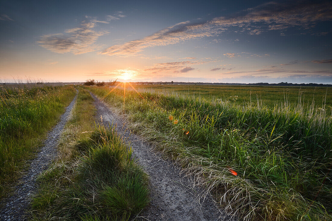 field, footpath, sunset, Dykhausen, Sande, Friesland - district, Lower Saxony, Germany, Europe