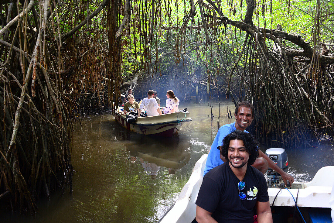 boat trip in the Mangroves near Bentota, Westcoast, Sri Lanka