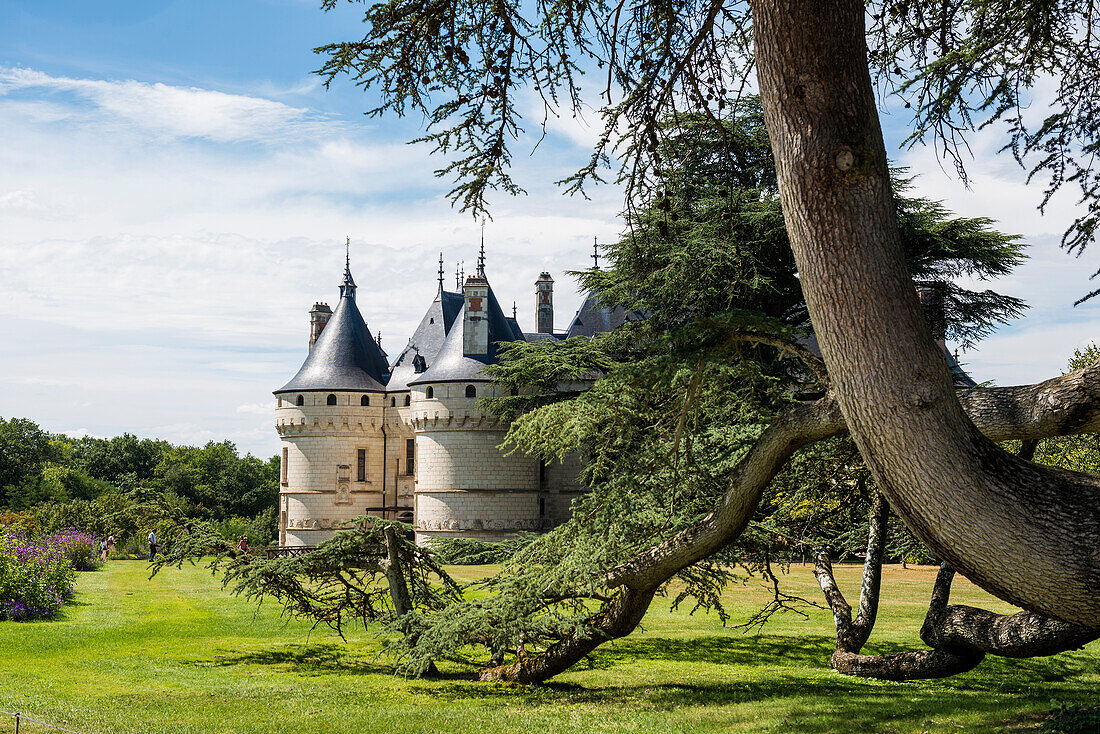 Schloss Chaumont mit Parkanlage, Château de Chaumont, Chaumont-sur-Loire, Loire, Département Loir-et-Cher, Frankreich
