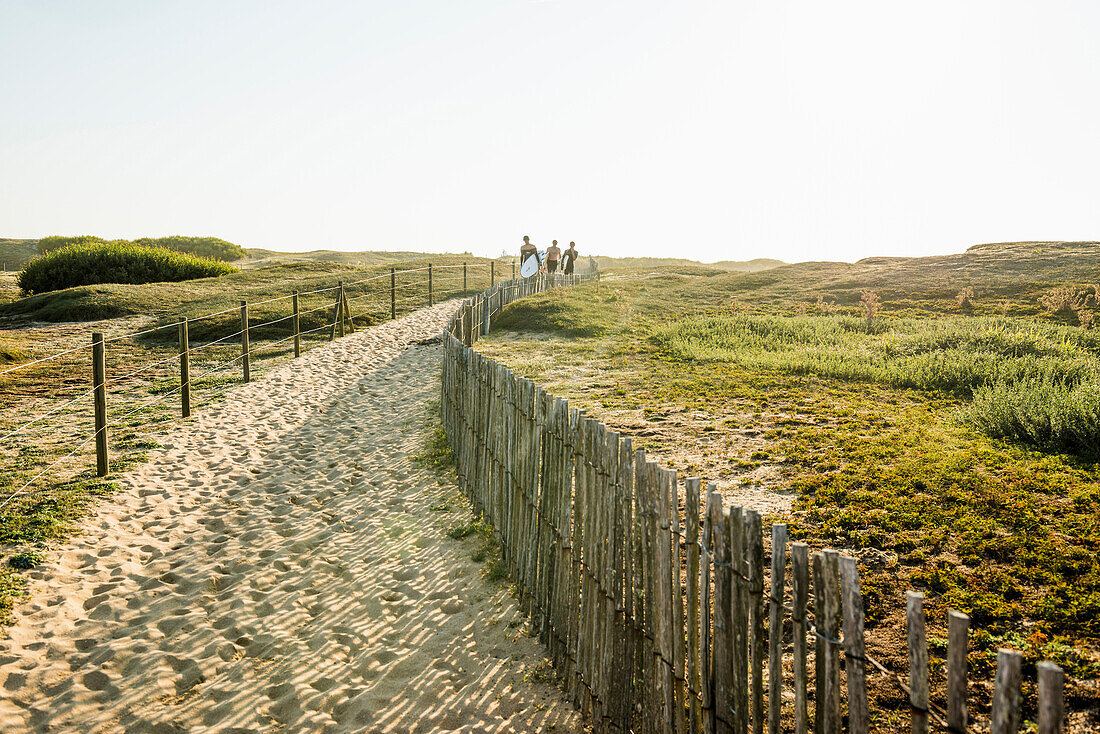 Way through the dunes to the beach, Quiberon peninsula , Brittany, France