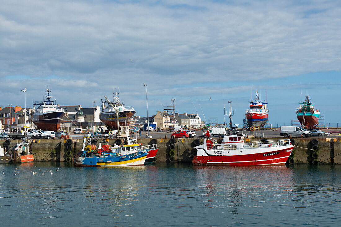 Fischerboote im Hafen, Guilvinec, Finistère, Bretagne, Frankreich