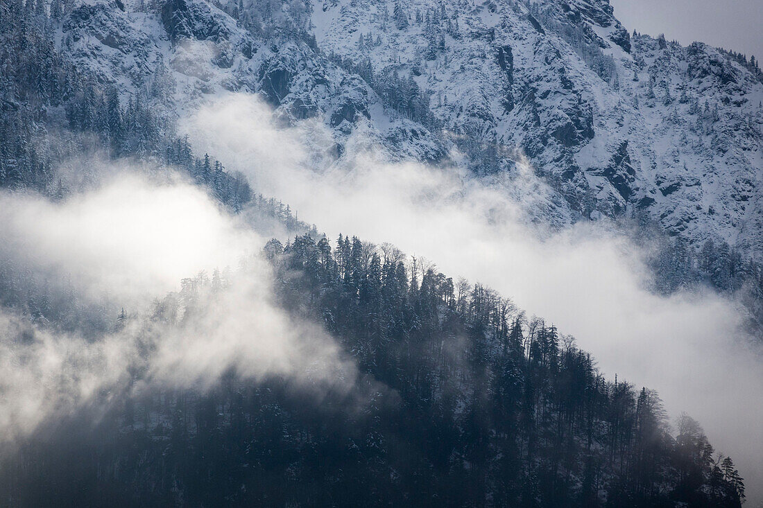 Aufsteigender Nebel in den winterlichen Bergen, Herzogstand, Oberbayern, Alpen, Deutsachalnd