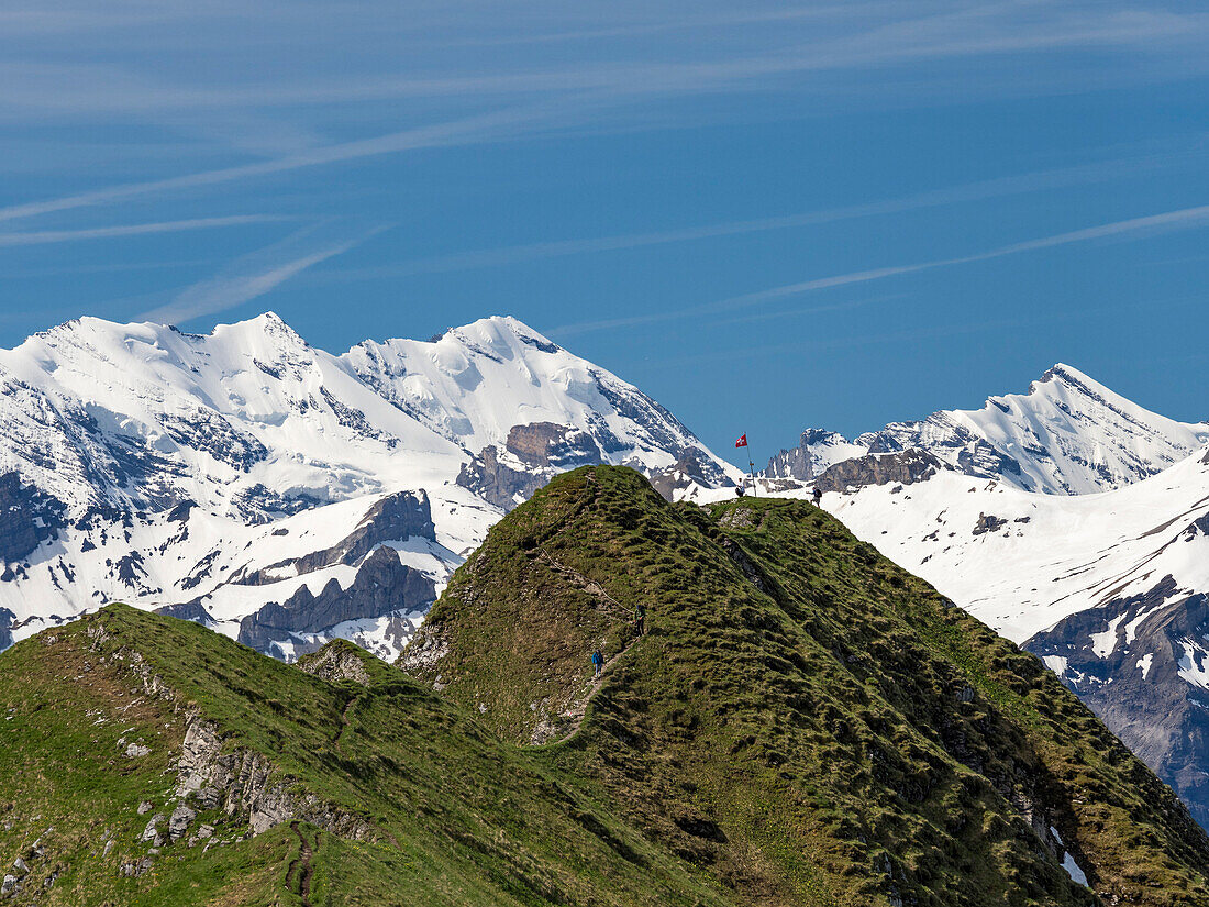 Augstmatthorn am Brienzer See, Alpen, Berner Oberland, Schweiz, Europa