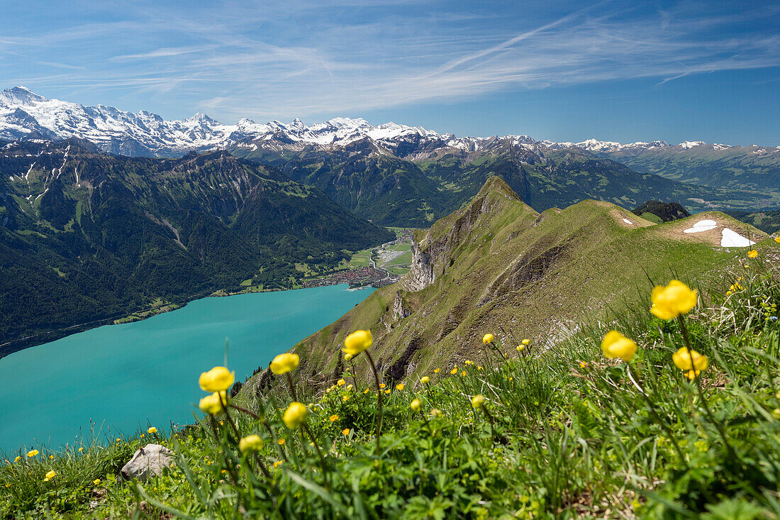 Blick vom Augstmatthorn auf den Brienzer See mit Interlaken, Alpen, Berner Oberland, Schweiz, Europa