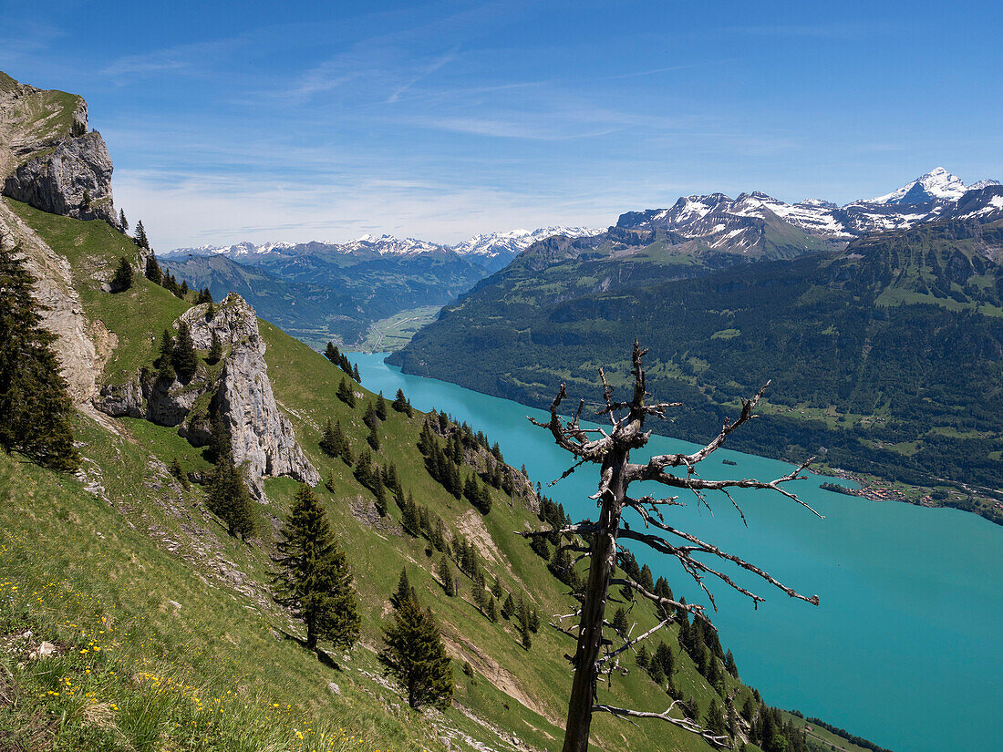 view from Augstmatthorn over lake Brienzer See, Alps, Bernese Oberland, Switzerland, Europe