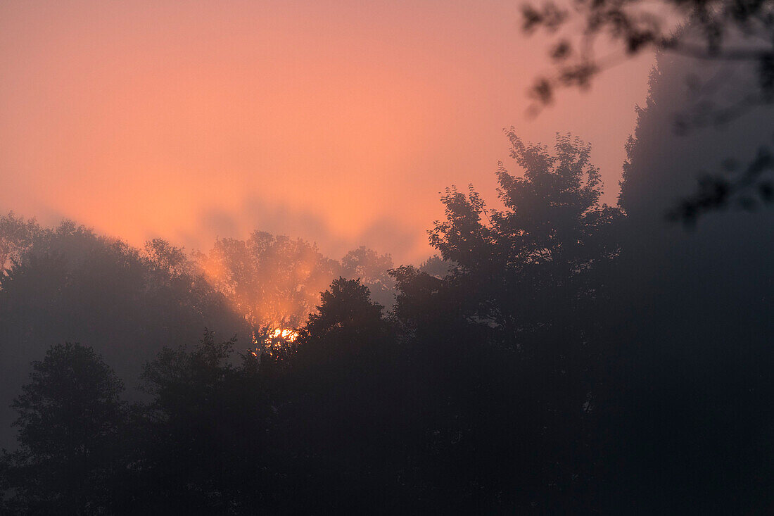 Sonnenaufgang über dem Wald, Bayern, Deutschland