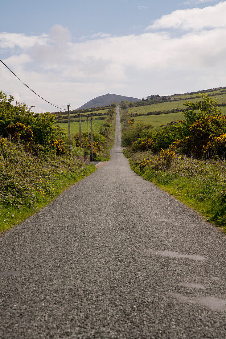 Lang und gerade verläuft die Landstraße durch die Landschaft, gesehen von einer Wanderung entlang dem Weitwanderweg Dingle Way, nahe Annascaul, Dingle Halbinsel, County Kerry, Irland, Europa