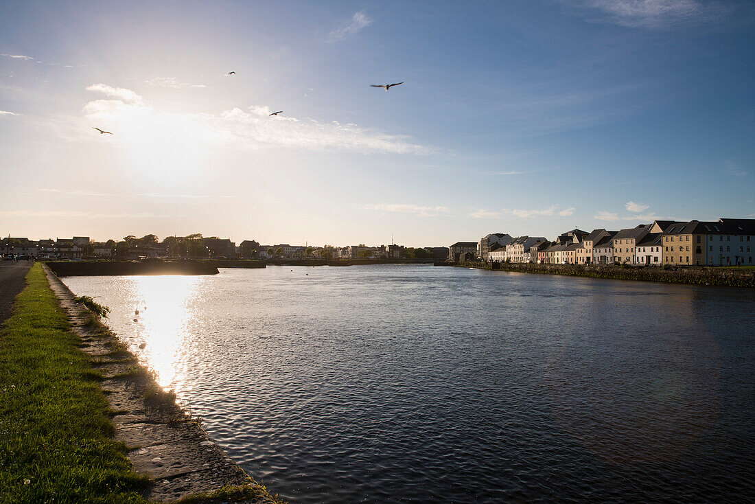 Birds fly as the sun sets over the Corrib river at Galway harbour, Galway, County Galway, Ireland, Europe