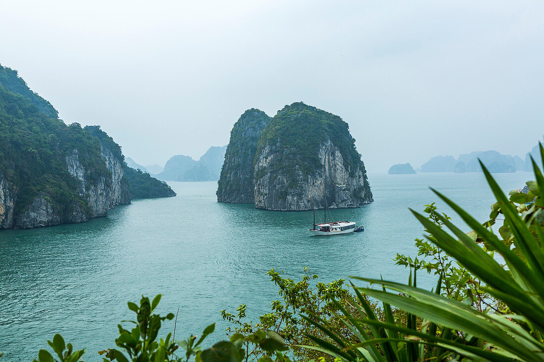 Die Felsen in der Bucht von Halong, Vietnam