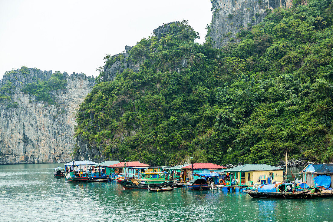 Traditionelle Boote in der Bucht von Halong, Vietnam