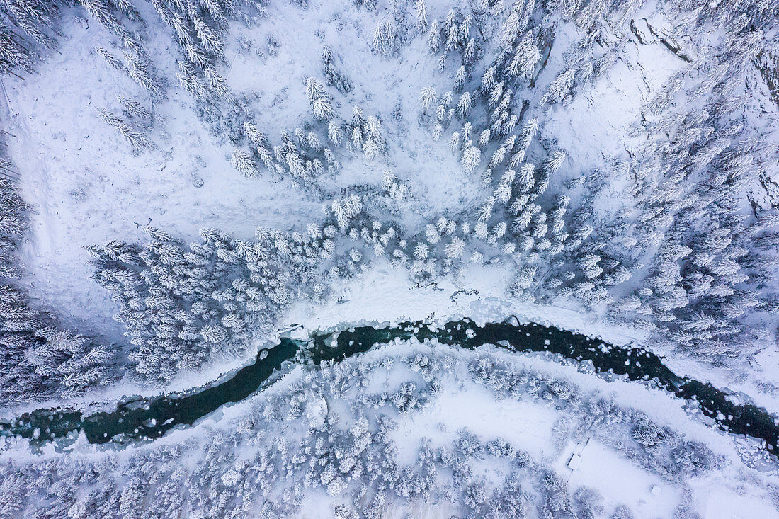 Luftaufnahme des Flusses Inn mit Wald im Winter, Engadin, Graubünden, die Schweiz, Europa