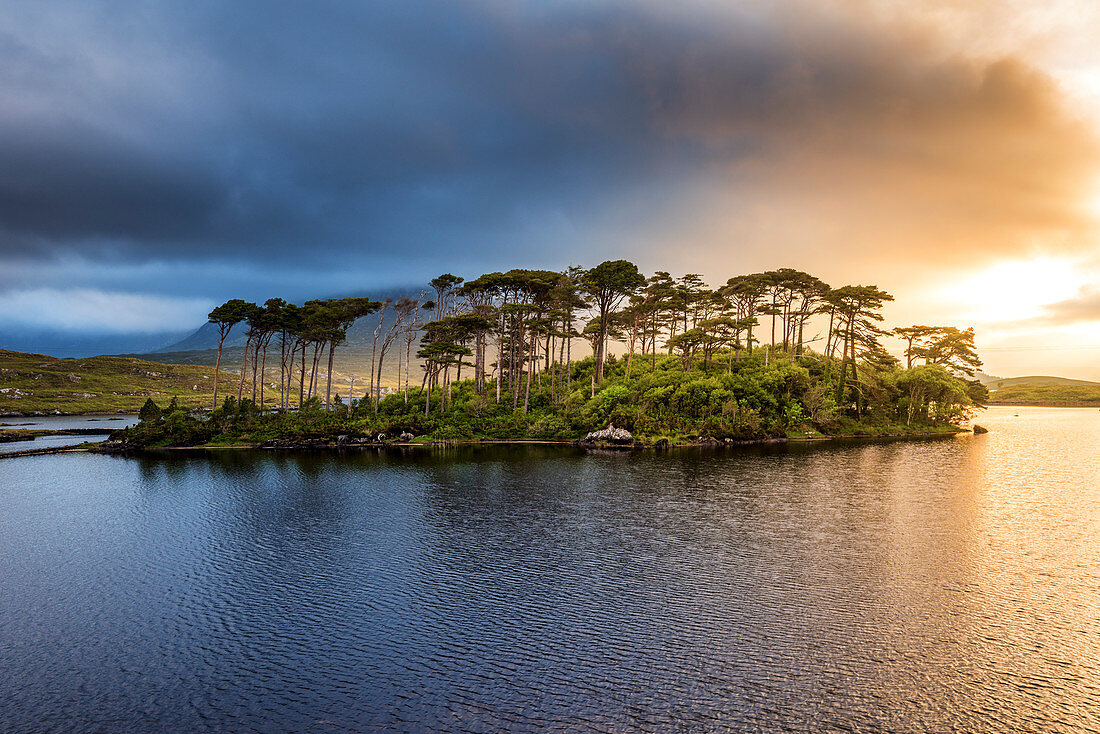 Connemara, County Galway, Connacht province, Ireland, Europe. Lough Inagh lake with Pines Island.
