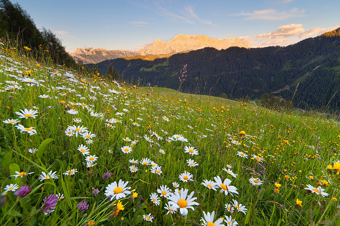 Wiesen von Longiarù, Dolomiten, Provinz Bozen, Südtirol, Italien