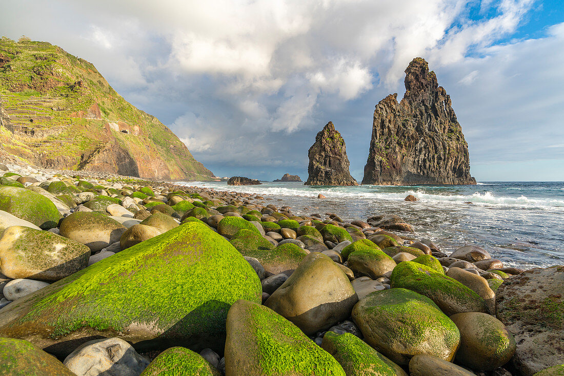 Die Inseln Rib und Janela im Morgenlicht, Region Porto Moniz, Madeira, Portugal