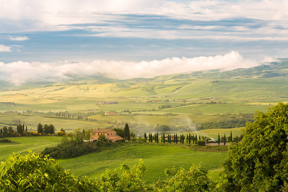 Cypresses and farmhouse on the rolling hills, Orcia valley, Siena province, Tuscany, Italy