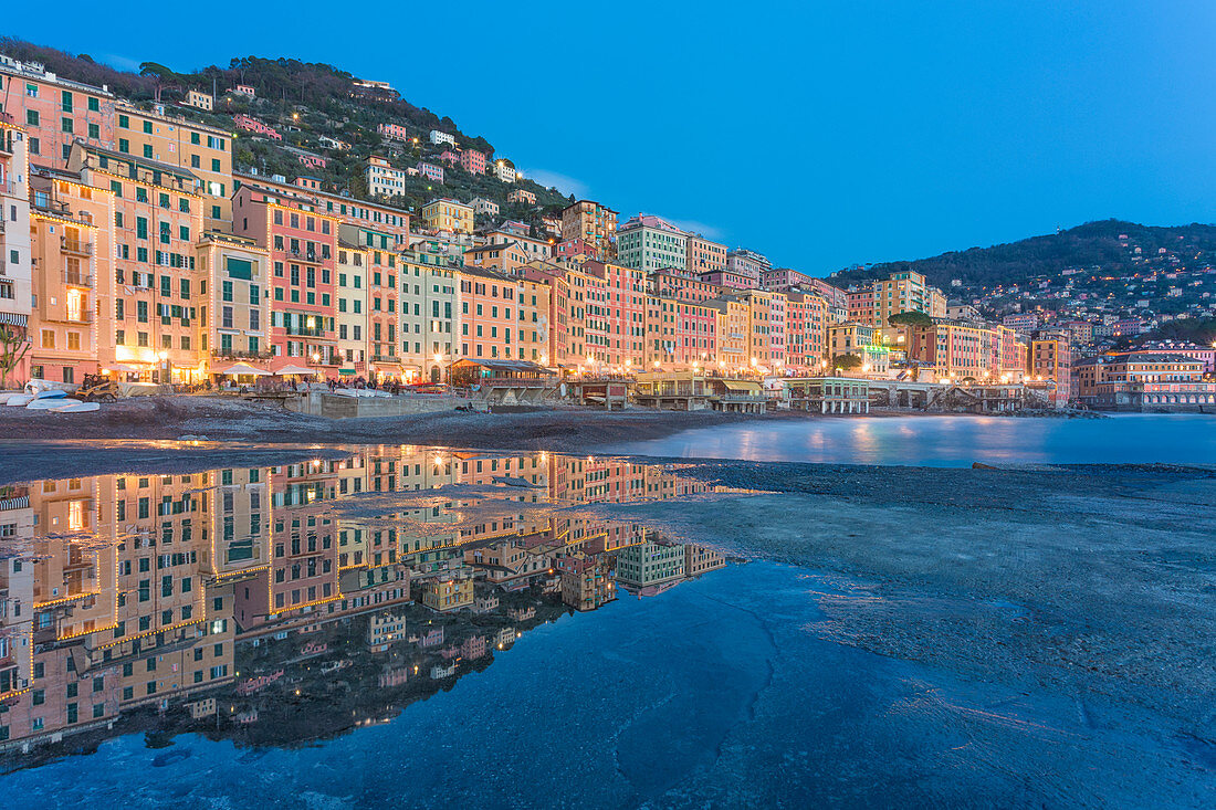 Colourful houses framed with christmas lights of the picturesque village of Camogli , Gulf of Paradise, Portofino National Park, Genoa province, Liguria, Italy