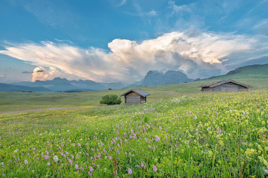 Seiser Alm, Dolomiten, Südtirol, Italien, Cumulonimbus-Wolke über dem Sassolungo