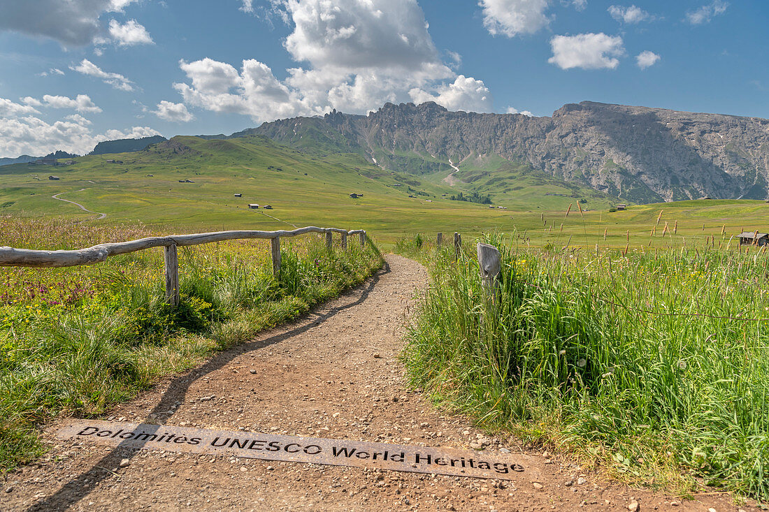 Alpe di Siusi/Seiser Alm, Dolomites, South Tyrol, Italy. 