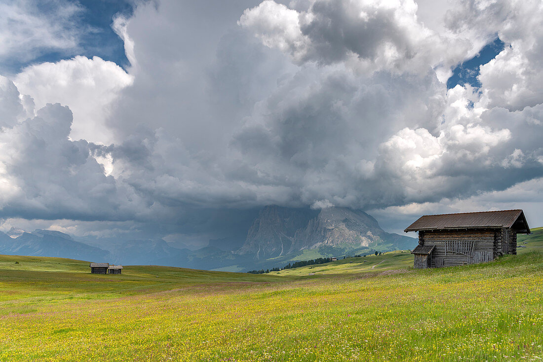 Alpe di Siusi/Seiser Alm, Dolomites, South Tyrol, Italy. Storm clouds over the Sassolungo