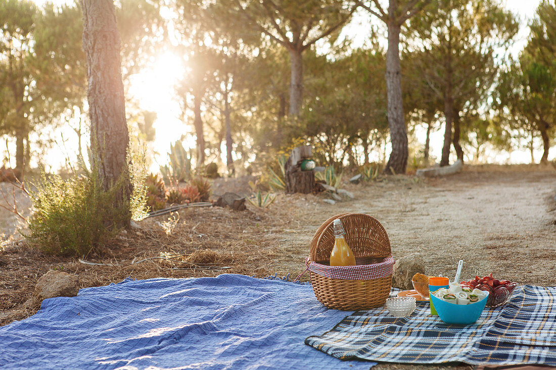 Picnic under trees