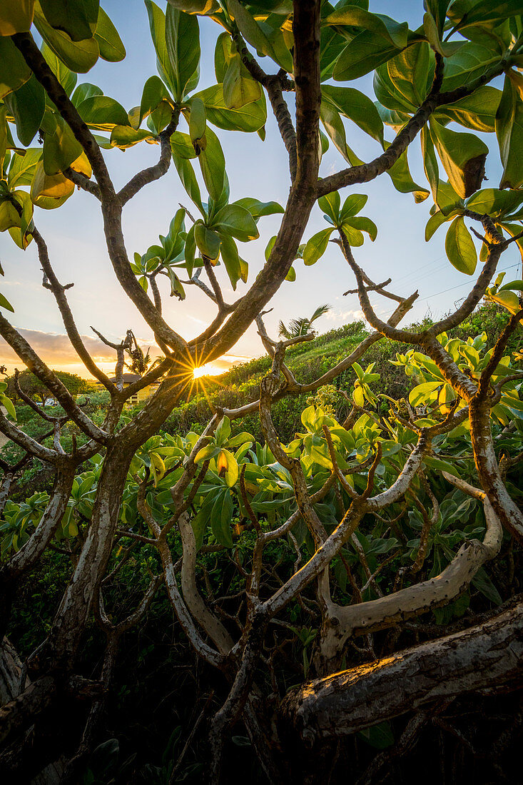 Sonnenaufgang im hookipa beack, Maui-Insel, Hawaii, USA