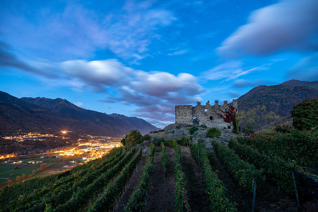 The fortress of Castel Grumello surrounded by vineyards, Montagna in Valtellina, province of Sondrio, Valtellina, Lombardy, Italy