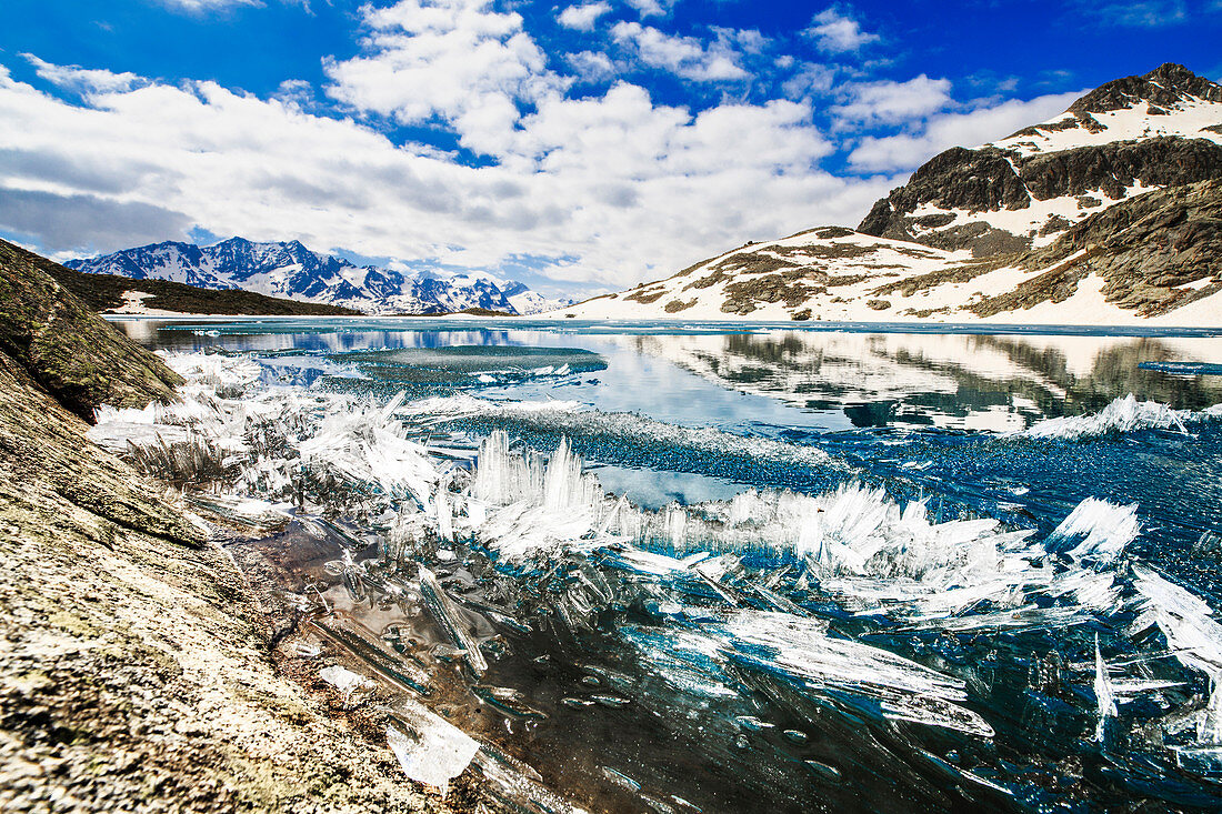 Eiskristalle auf der Oberfläche von Lej da la Tscheppa, bei St. Moritz, Engadin, Kanton Graubünden, Schweiz