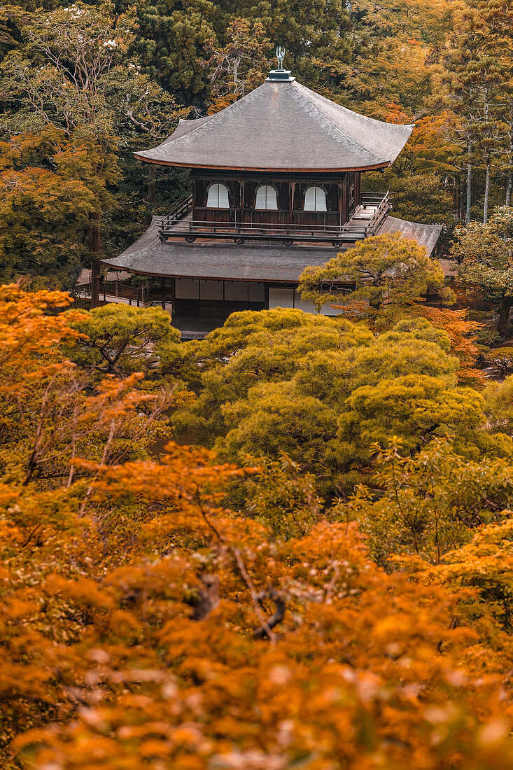 Ginkaku-ji shrine, silver temple, Kyoto, Japan, Asia