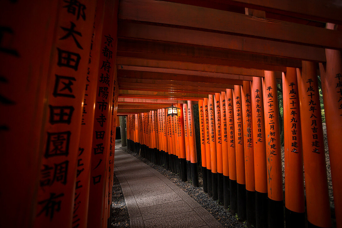 Fushimi Inari shrine, Torii, kyoto, Japan, Asia