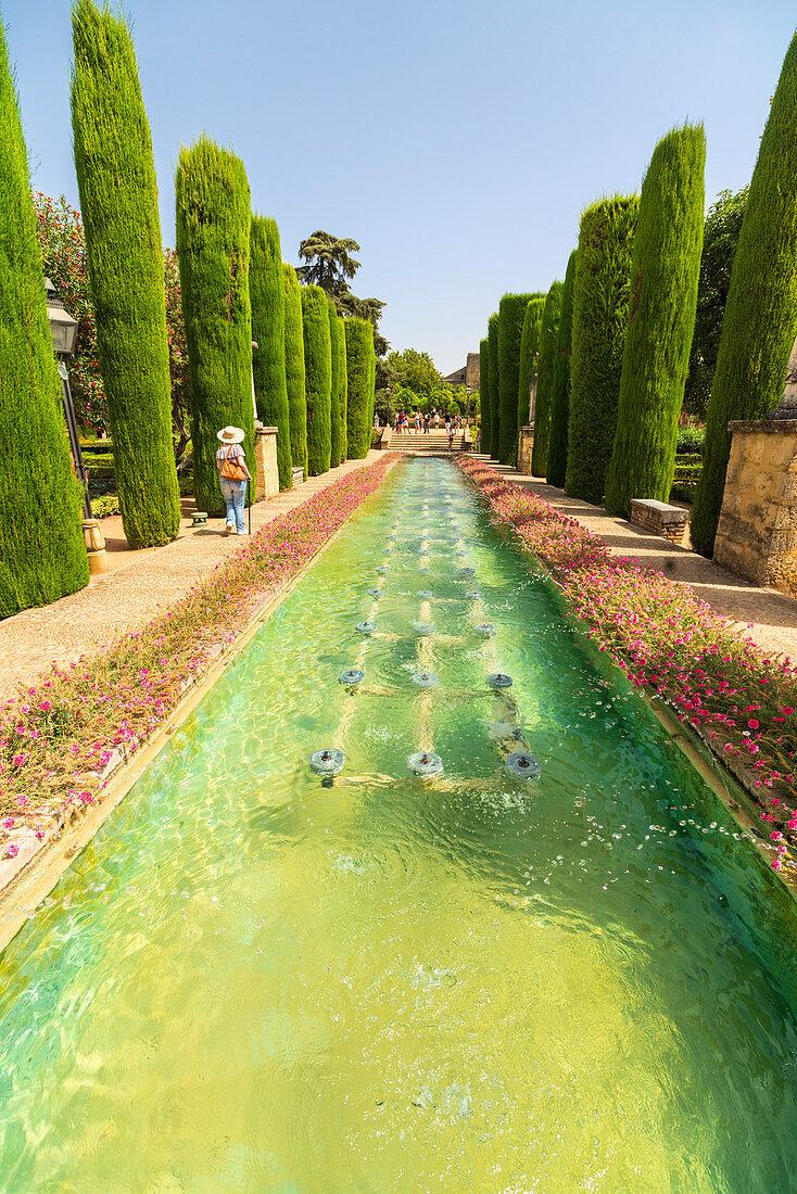 Zypressen und Pool am Paseo de los Reyes in den formalen Gärten von Alcazar de los Reyes Cristianos, Cordoba, Andalusien, Spanien