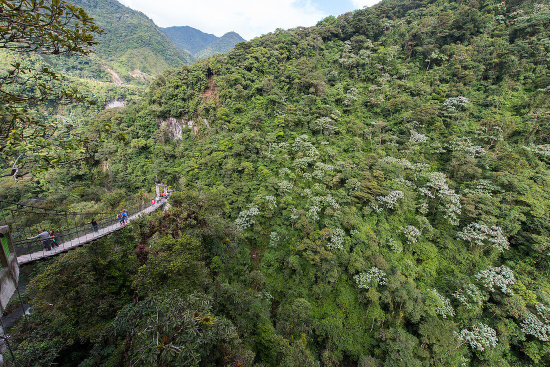 Die Brücke zum Wasserfall von Pailon del Diablo, Banos de Agua Santa, Kanton Banos, Provinz Tungurahua, Ecuador