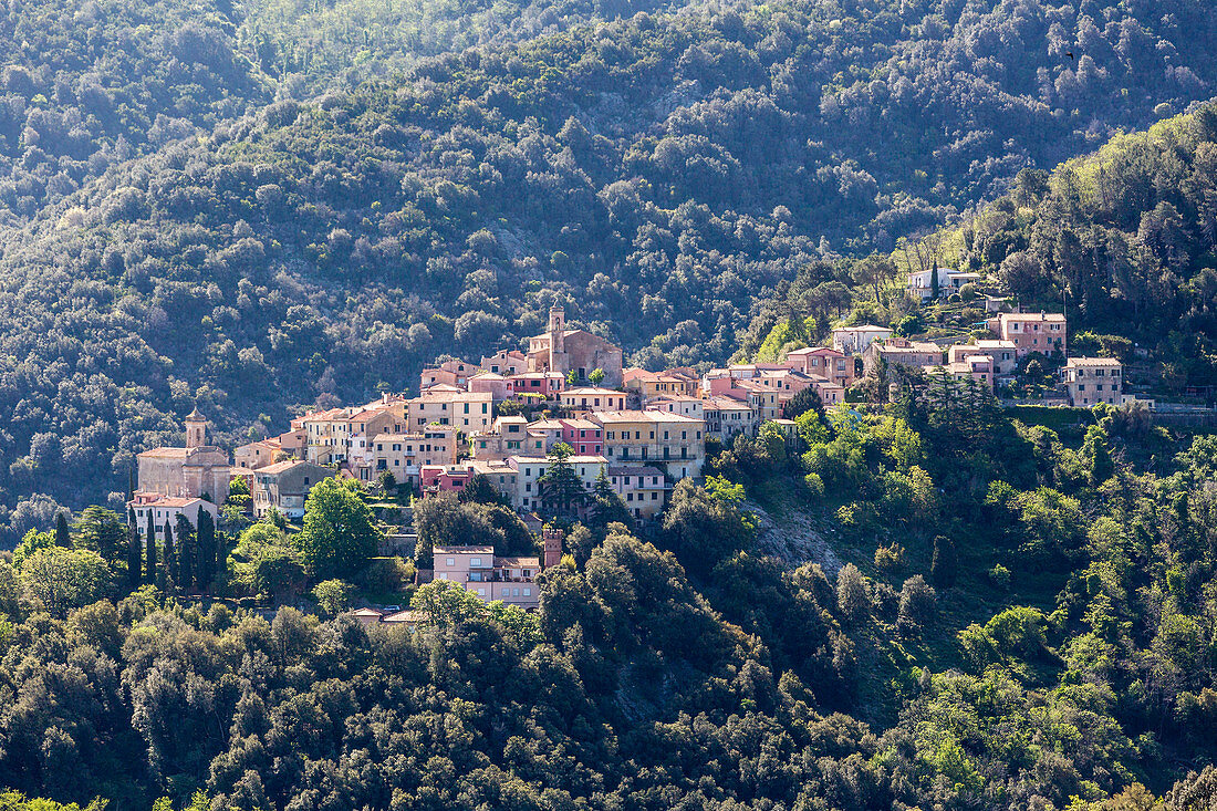 Das mittelalterliche Dorf von Poggio, Marciana, Elba Island, Provinz Livorno, Toskana, Italien