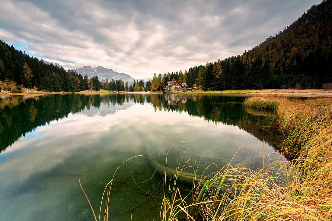 Nambino lake in Trentino Alto Adige, Unesco World Heritage site in Madonna di Campiglio, Italy.