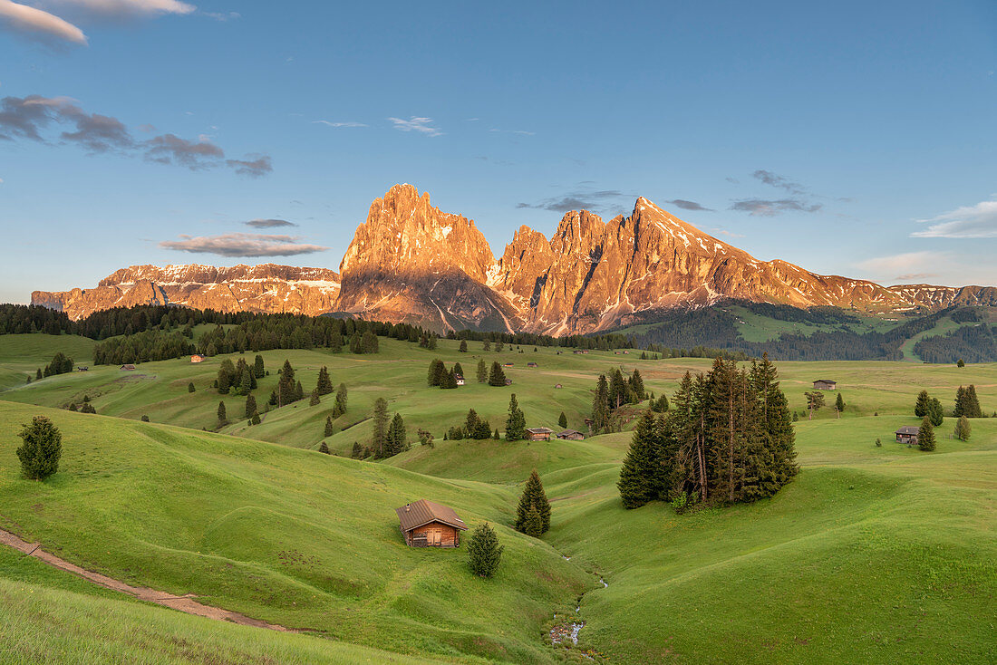 Alpe di Siusi/Seiser Alm, Dolomites, South Tyrol, Italy. Sunset on the Alpe di Siusi/Seiser Alm with the peaks of Sassolungo and Sassopiatto