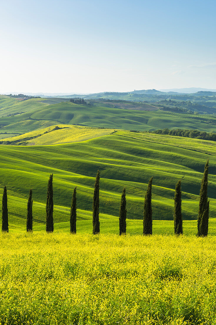 San Quirico d'Orcia,Val d'Orcia,Tuscany,Italy.