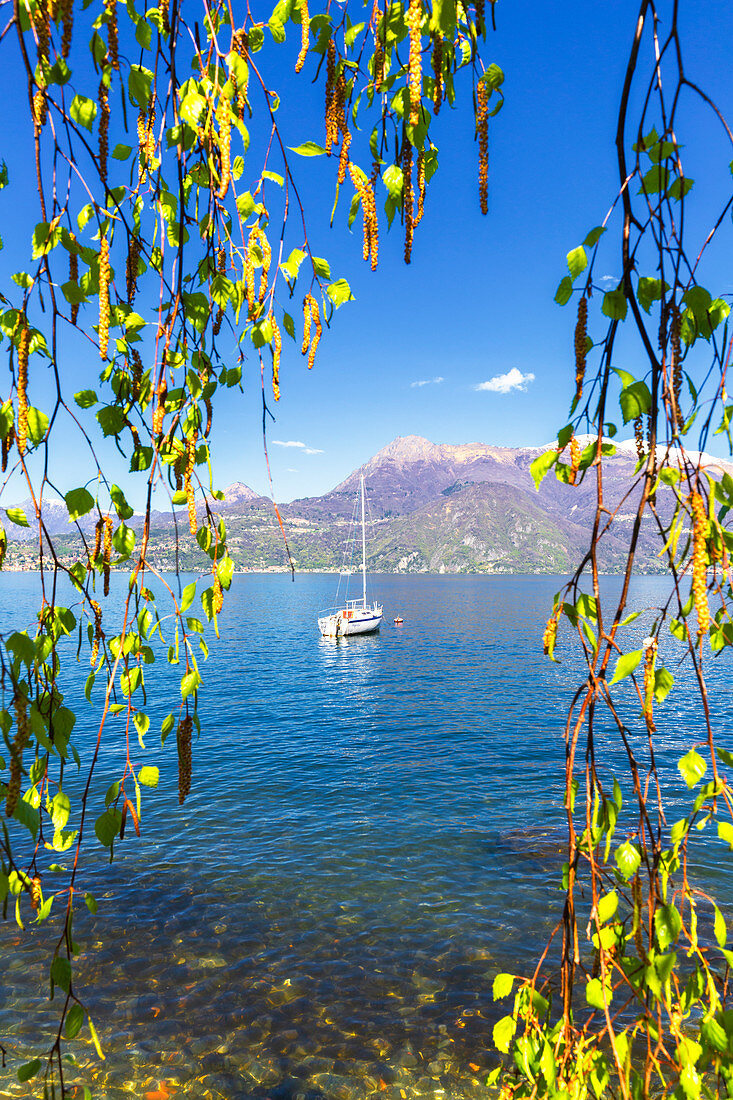 Moored sailboat to Varenna, Province of Lecco, Como Lake, Lombardy, Italy, Europe.
