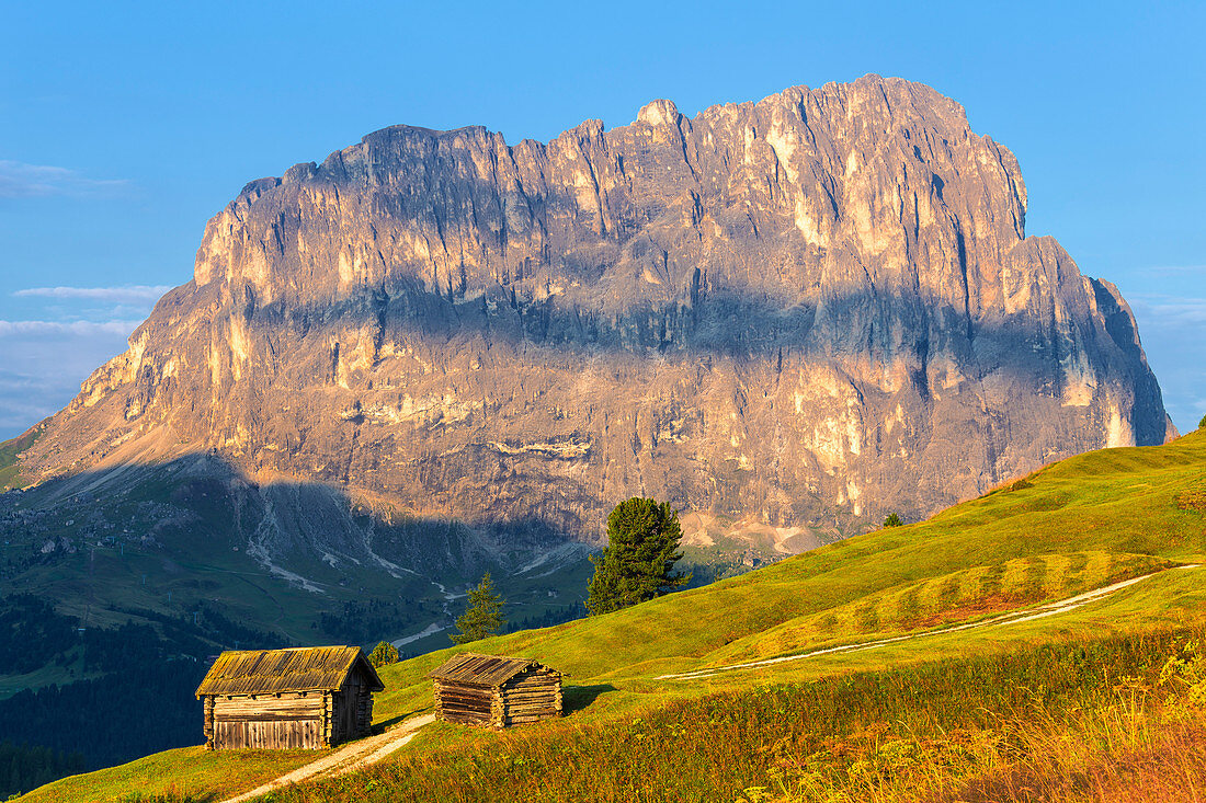 Traditional hut with Sassolungo in the background. Gardena Pass, Gardena Valley, Dolomites, South Tyrol, Italy, Europe.