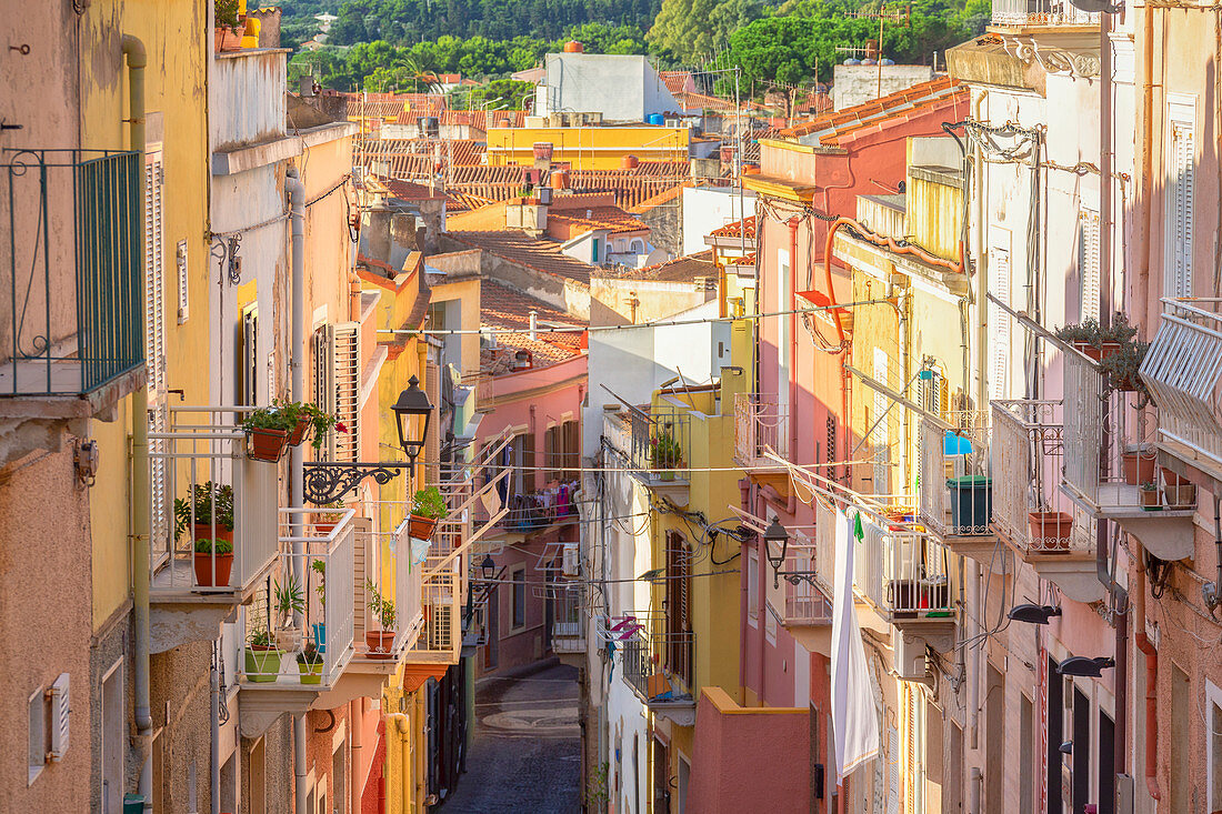 Colorful houses of Carloforte, San Pietro Island, Sud Sardegna province, Sardinia, Italy, Europe.