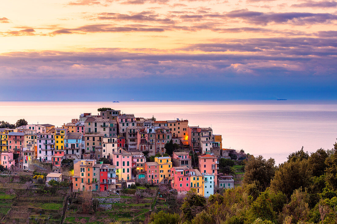 Bunte Häuser von Corniglia bei Sonnenaufgang, Cinque Terre, Ligurien, Italien, Europa